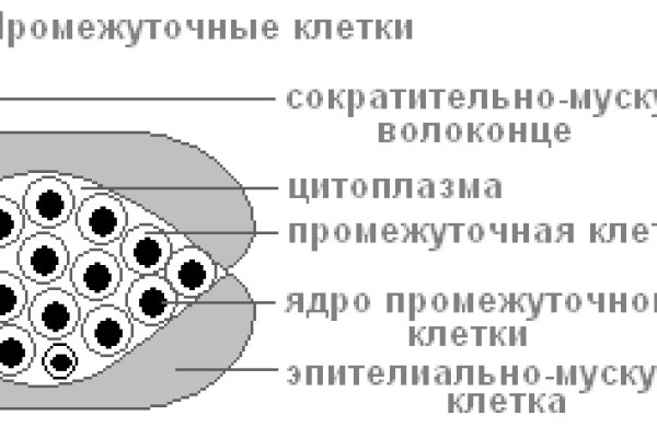 Кракен питер