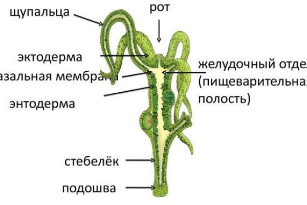 Почему кракен перестал работать