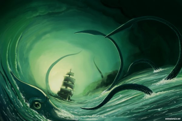 Kraken 17 at net