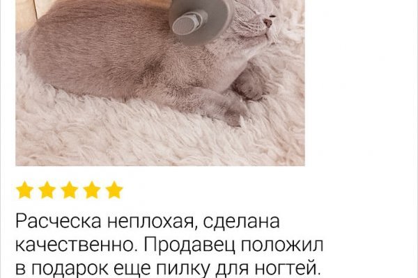 Kraken в россии