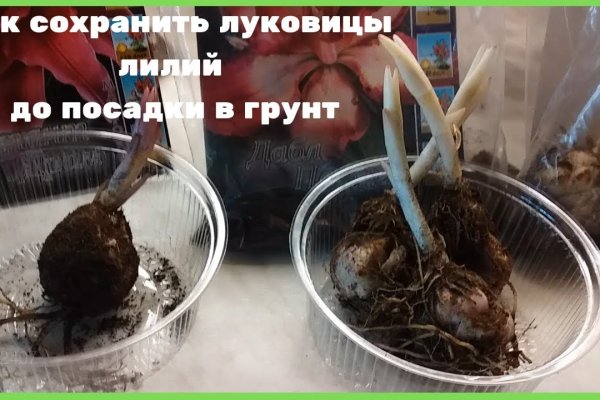Кракен ссылка 2025