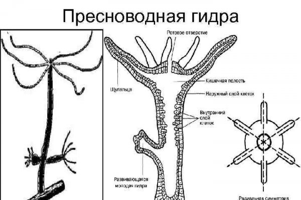 Solaris даркнет