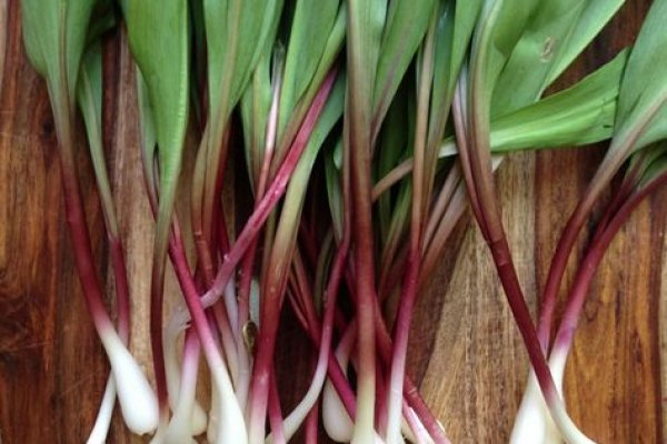 Сайт кракен официальный ссылка onion