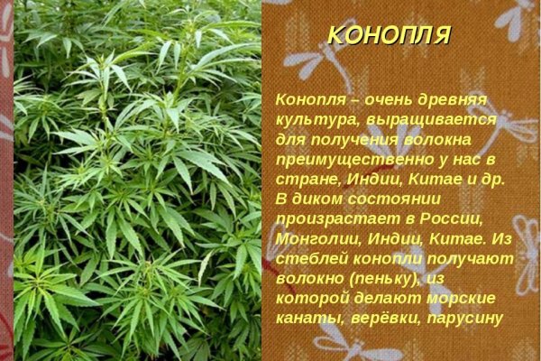 Kraken ссылка kraken link24 info