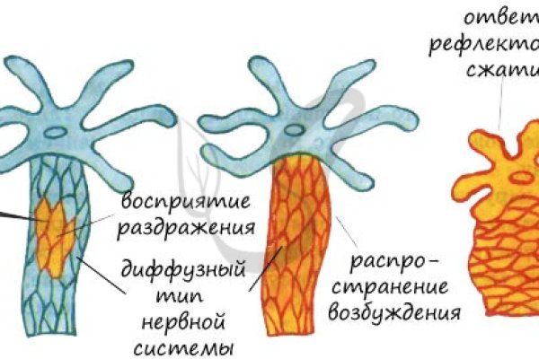 Кракен сайт даркнет зеркало